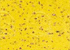 Cork Ribbon Giallo